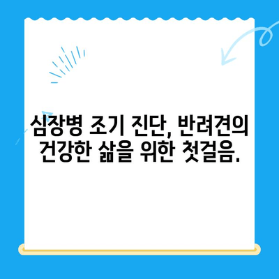 부산 반려견 심장 건강, 연산동물의료센터에서 24시 심장검사 받으세요 | 부산 심장동물병원, 반려견 심장병, 24시 동물병원