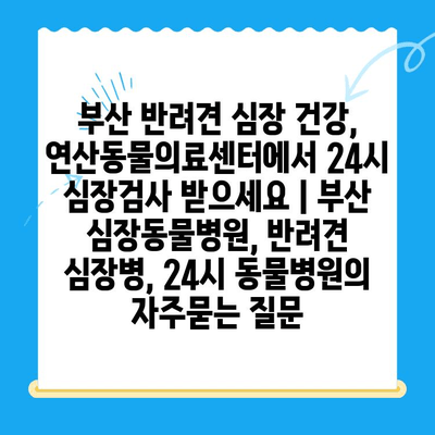 부산 반려견 심장 건강, 연산동물의료센터에서 24시 심장검사 받으세요 | 부산 심장동물병원, 반려견 심장병, 24시 동물병원