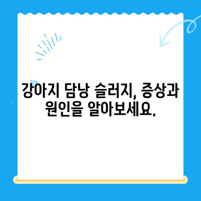 강아지 담낭 슬러지 치료| 24시 동물병원에서 찾는 해결책 | 담낭 슬러지, 강아지 건강, 동물병원 추천