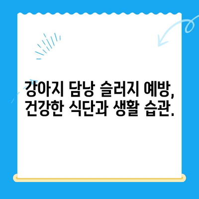 강아지 담낭 슬러지 치료| 24시 동물병원에서 찾는 해결책 | 담낭 슬러지, 강아지 건강, 동물병원 추천