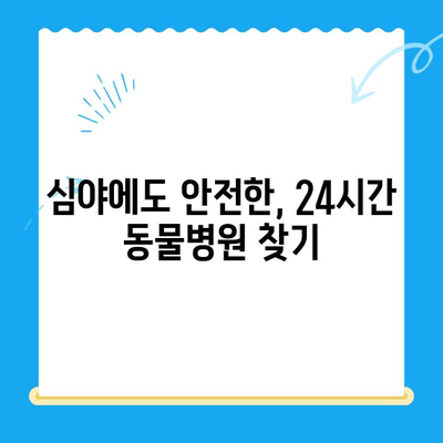 심야에 개 골절, 어디서 치료받아야 할까요? | 24시간 동물병원, 응급 치료, 골절 치료