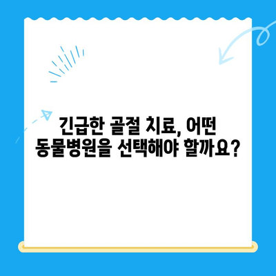 심야에 개 골절, 어디서 치료받아야 할까요? | 24시간 동물병원, 응급 치료, 골절 치료