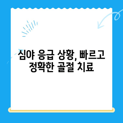 심야에 개 골절, 어디서 치료받아야 할까요? | 24시간 동물병원, 응급 치료, 골절 치료