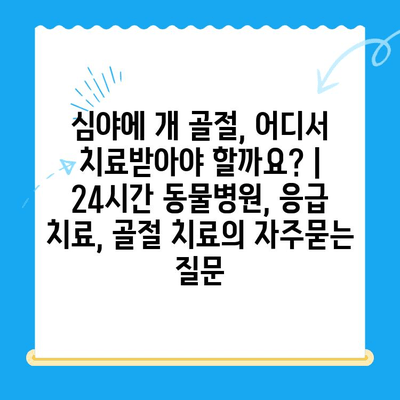 심야에 개 골절, 어디서 치료받아야 할까요? | 24시간 동물병원, 응급 치료, 골절 치료