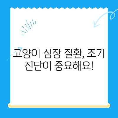 수성점 고양이 심장 검진 후기| 저희 아이 심장 건강 이야기 | 동물병원, 고양이 건강, 심장 질환
