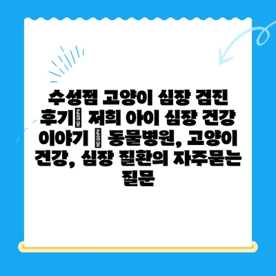 수성점 고양이 심장 검진 후기| 저희 아이 심장 건강 이야기 | 동물병원, 고양이 건강, 심장 질환