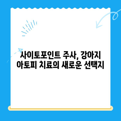 강아지 아토피 피부염, 24시간 동물병원에서 사이토포인트 주사 치료 받기 | 아토피, 피부염, 강아지, 동물병원, 사이토포인트