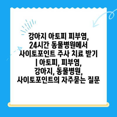 강아지 아토피 피부염, 24시간 동물병원에서 사이토포인트 주사 치료 받기 | 아토피, 피부염, 강아지, 동물병원, 사이토포인트