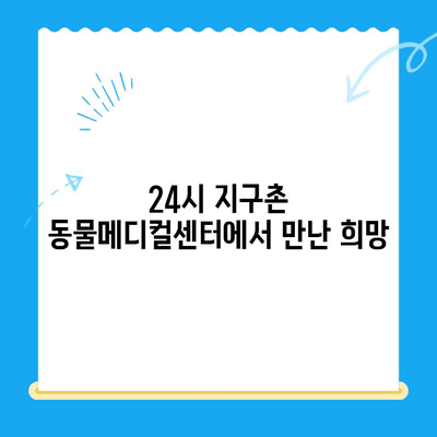 강아지 청색증 수술 후기| 24시 지구촌 동물메디컬센터에서의 경험 | 청색증, 심장병, 수술 후 관리, 동물병원 후기