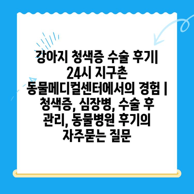 강아지 청색증 수술 후기| 24시 지구촌 동물메디컬센터에서의 경험 | 청색증, 심장병, 수술 후 관리, 동물병원 후기