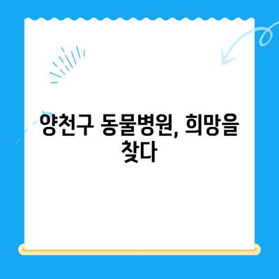 양천구 동물병원 강아지 청색증 및 혈관육종 치료 후기| 우리 아이의 힘든 싸움과 기적 같은 회복 | 청색증, 혈관육종, 강아지 질병, 동물병원 후기, 양천구