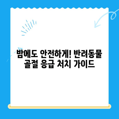 야간 애완동물 골절 응급 처치| 24시간 동물병원 찾기 | 응급 상황, 야간 진료, 골절, 애완동물 병원