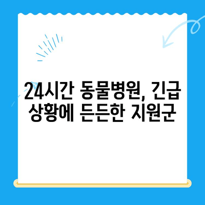 야간 애완동물 골절 응급 처치| 24시간 동물병원 찾기 | 응급 상황, 야간 진료, 골절, 애완동물 병원