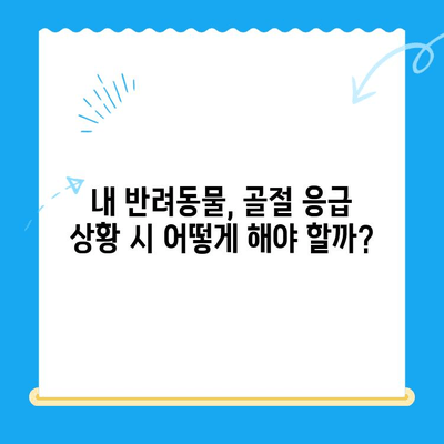 야간 애완동물 골절 응급 처치| 24시간 동물병원 찾기 | 응급 상황, 야간 진료, 골절, 애완동물 병원