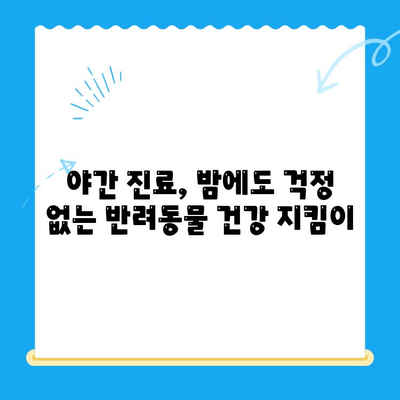 야간 애완동물 골절 응급 처치| 24시간 동물병원 찾기 | 응급 상황, 야간 진료, 골절, 애완동물 병원