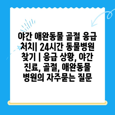 야간 애완동물 골절 응급 처치| 24시간 동물병원 찾기 | 응급 상황, 야간 진료, 골절, 애완동물 병원