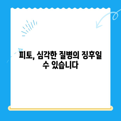 반려동물 구토, 피토와의 연관성과 24시간 동물병원 MRI 치료 비용 알아보기 | 반려동물 건강, 응급 상황, 진료 비용