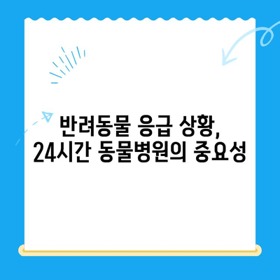 반려동물 구토, 피토와의 연관성과 24시간 동물병원 MRI 치료 비용 알아보기 | 반려동물 건강, 응급 상황, 진료 비용