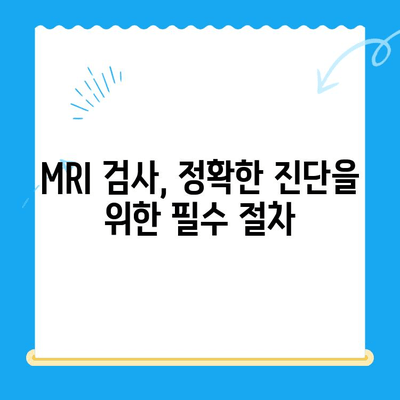 반려동물 구토, 피토와의 연관성과 24시간 동물병원 MRI 치료 비용 알아보기 | 반려동물 건강, 응급 상황, 진료 비용