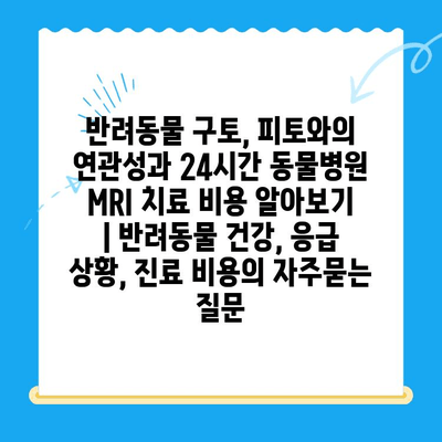 반려동물 구토, 피토와의 연관성과 24시간 동물병원 MRI 치료 비용 알아보기 | 반려동물 건강, 응급 상황, 진료 비용