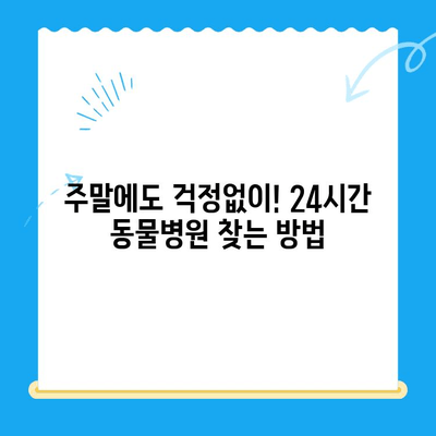 주말 응급 상황! 골절된 개를 위한 24시간 동물병원 찾기 | 응급 진료, 야간 진료, 동물 병원, 긴급 상황