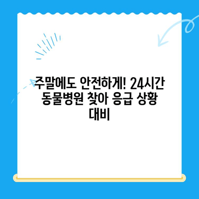 주말 응급 상황! 골절된 개를 위한 24시간 동물병원 찾기 | 응급 진료, 야간 진료, 동물 병원, 긴급 상황