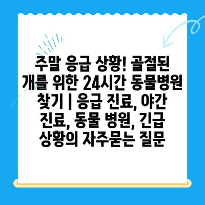 주말 응급 상황! 골절된 개를 위한 24시간 동물병원 찾기 | 응급 진료, 야간 진료, 동물 병원, 긴급 상황