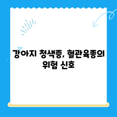 양천구 강아지 청색증 혈관육종, 증상과 수술 정보| 24시지구촌동물메디컬센터 | 강아지, 동물병원, 혈관육종, 청색증, 수술