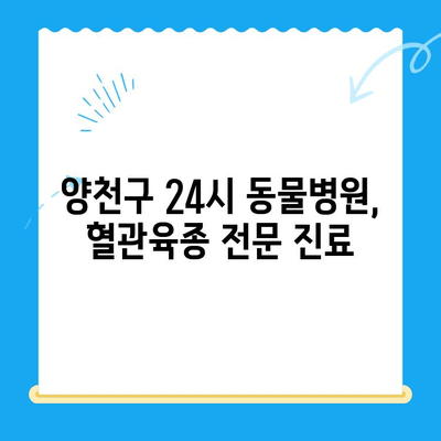 양천구 강아지 청색증 혈관육종, 증상과 수술 정보| 24시지구촌동물메디컬센터 | 강아지, 동물병원, 혈관육종, 청색증, 수술