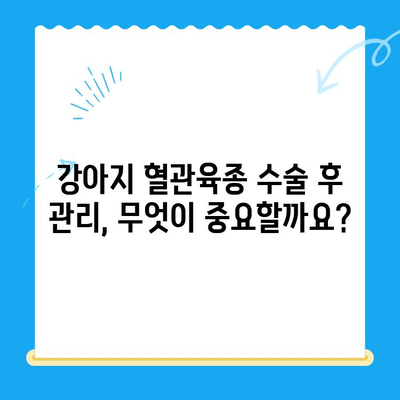 양천구 강아지 청색증 혈관육종, 증상과 수술 정보| 24시지구촌동물메디컬센터 | 강아지, 동물병원, 혈관육종, 청색증, 수술