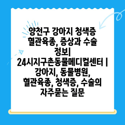 양천구 강아지 청색증 혈관육종, 증상과 수술 정보| 24시지구촌동물메디컬센터 | 강아지, 동물병원, 혈관육종, 청색증, 수술