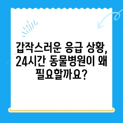 고양이 건강 체크 24시간 가능한 동물병원 찾기| 필수 검진 항목과 주의 사항 | 고양이 건강, 동물병원, 응급 상황, 야간 진료