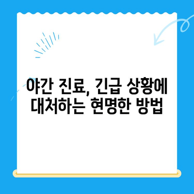 고양이 건강 체크 24시간 가능한 동물병원 찾기| 필수 검진 항목과 주의 사항 | 고양이 건강, 동물병원, 응급 상황, 야간 진료