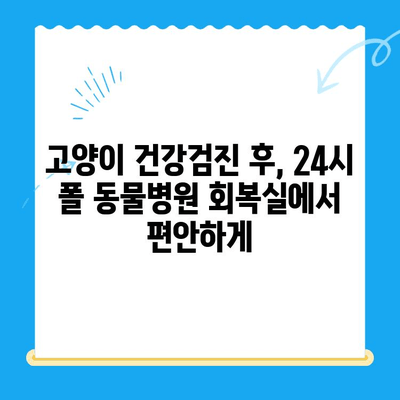 고양이 건강검진 후 회복, 24시 폴 동물병원 회복실에서 편안하게 | 고양이 건강, 회복, 24시 동물병원, 입원