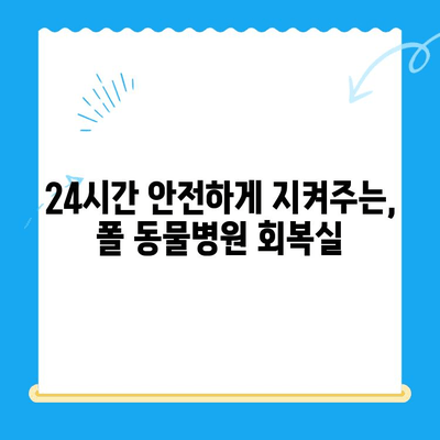 고양이 건강검진 후 회복, 24시 폴 동물병원 회복실에서 편안하게 | 고양이 건강, 회복, 24시 동물병원, 입원