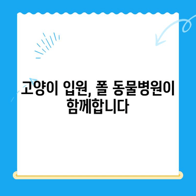 고양이 건강검진 후 회복, 24시 폴 동물병원 회복실에서 편안하게 | 고양이 건강, 회복, 24시 동물병원, 입원