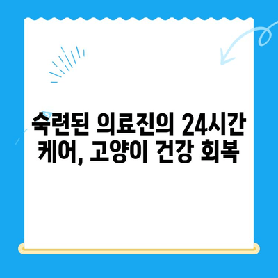 고양이 건강검진 후 회복, 24시 폴 동물병원 회복실에서 편안하게 | 고양이 건강, 회복, 24시 동물병원, 입원