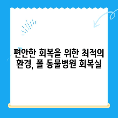 고양이 건강검진 후 회복, 24시 폴 동물병원 회복실에서 편안하게 | 고양이 건강, 회복, 24시 동물병원, 입원