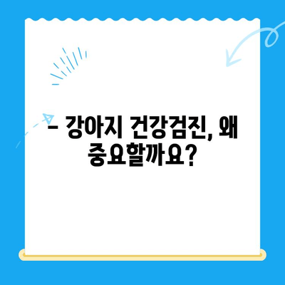 대전 강아지 건강검진, 타임 동물메디컬센터에서 믿을 수 있는 검진 받으세요! | 강아지 건강, 예방접종, 건강검진, 대전 동물병원