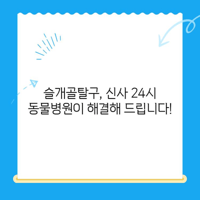 슬개골탈구 전문 동물병원 - 신사 24시 동물병원| 반려동물 슬개골탈구 치료, 이제 걱정하지 마세요! | 슬개골탈구, 전문 동물병원, 신사, 24시, 진료