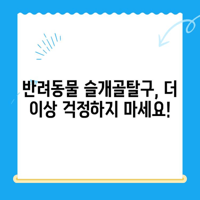 슬개골탈구 전문 동물병원 - 신사 24시 동물병원| 반려동물 슬개골탈구 치료, 이제 걱정하지 마세요! | 슬개골탈구, 전문 동물병원, 신사, 24시, 진료