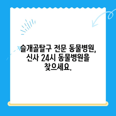 슬개골탈구 전문 동물병원 - 신사 24시 동물병원| 반려동물 슬개골탈구 치료, 이제 걱정하지 마세요! | 슬개골탈구, 전문 동물병원, 신사, 24시, 진료