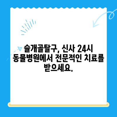 슬개골탈구 전문 동물병원 - 신사 24시 동물병원| 반려동물 슬개골탈구 치료, 이제 걱정하지 마세요! | 슬개골탈구, 전문 동물병원, 신사, 24시, 진료