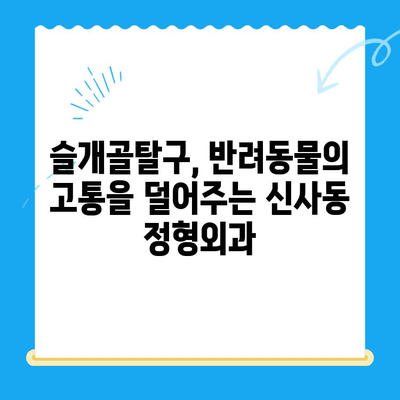 신사 동물병원 슬개골탈구 전문 정형외과 소개| 반려동물의 건강을 위한 최선의 선택 | 슬개골탈구, 정형외과, 수술, 재활, 신사동