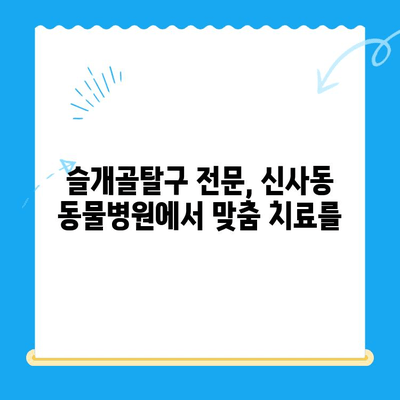 신사 동물병원 슬개골탈구 전문 정형외과 소개| 반려동물의 건강을 위한 최선의 선택 | 슬개골탈구, 정형외과, 수술, 재활, 신사동