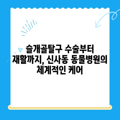 신사 동물병원 슬개골탈구 전문 정형외과 소개| 반려동물의 건강을 위한 최선의 선택 | 슬개골탈구, 정형외과, 수술, 재활, 신사동