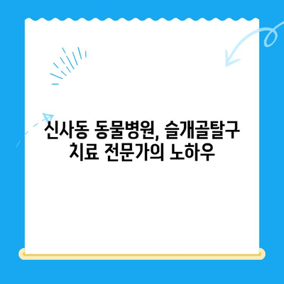 신사 동물병원 슬개골탈구 전문 정형외과 소개| 반려동물의 건강을 위한 최선의 선택 | 슬개골탈구, 정형외과, 수술, 재활, 신사동