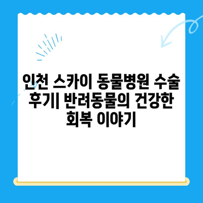 인천 스카이 동물병원 수술 후기| 반려동물의 건강한 회복 이야기 | 수술 후기, 동물병원 추천, 인천 동물병원