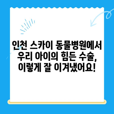 인천 스카이 동물병원 수술 후기| 반려동물의 건강한 회복 이야기 | 수술 후기, 동물병원 추천, 인천 동물병원