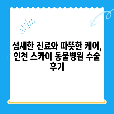 인천 스카이 동물병원 수술 후기| 반려동물의 건강한 회복 이야기 | 수술 후기, 동물병원 추천, 인천 동물병원